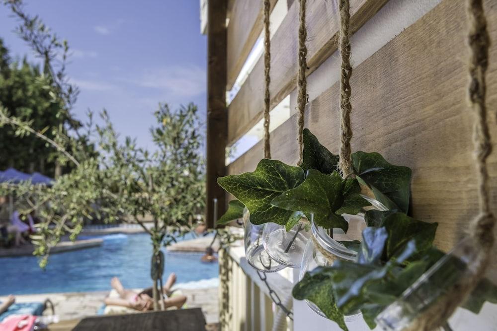 Sunny Days Hotell Tigaki Exteriör bild